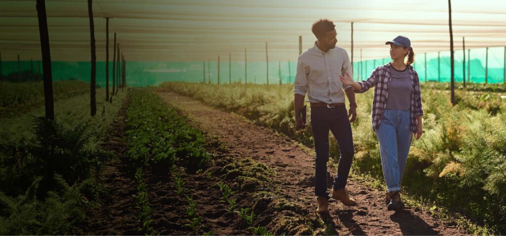 People walking along a field